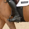 Equifit BellyBand -Pet Supply Store 02018 2