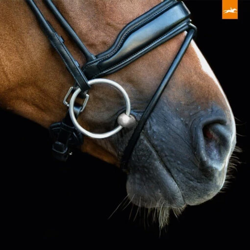 Schockemohle Malibu Bridle -Pet Supply Store 1101 0004 3