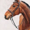 Schockemohle Montreal Bridle Less Reins -Pet Supply Store 1101 00050 MontrealSelect img1hTq9iN4y7e8j7 600x600 7561f640 13c2 4326 be6e 1d7919ae0710