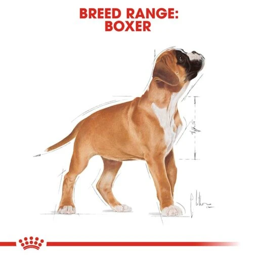 Royal Canin Boxer Puppy Dog Food - 12kg -Pet Supply Store