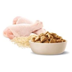 ADVANCEAdult Healthy Weight Large Breed Dry Dog Food Chicken With Rice 13kg -Pet Supply Store 122389 9334214024103 70 8