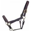 Bromont Raised And Padded Leather Halter -Pet Supply Store 1235 raised halter