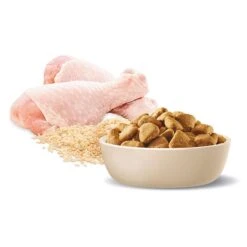 ADVANCE Adult Healthy Weight Large Dry Dog Food Chicken With Rice 17kg -Pet Supply Store 126348 ADV DF ADT LB WGHT CHCK 17kg 8