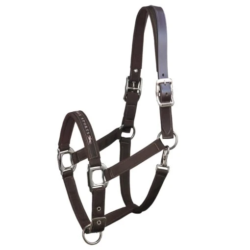 Schockemohle Memphis Breakaway Halter -Pet Supply Store 1311 00020 Memphis Breakaway chocolateI5WSVM7zuUP6J