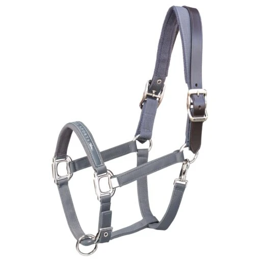 Schockemohle Memphis Breakaway Halter -Pet Supply Store 1311 00020 Memphis Breakways anthracite1anwrh6WskHfa