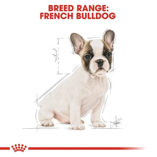 Royal Canin French Bulldog Puppy Dog Food 3Kg -Pet Supply Store 136798 French Bulldog 3kg 4