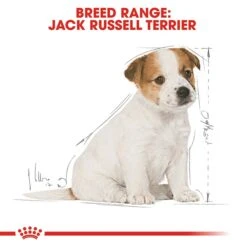 Royal Canin Jack Russell Puppy Dog Food 1.5Kg -Pet Supply Store 136805 Jack Russell 1.5kg 4