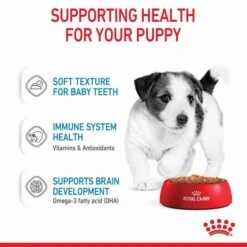 Royal Canin Mini Breed Junior Puppy Pouch 85gx12 -Pet Supply Store 137386 RC PF MINI 85gx12 5