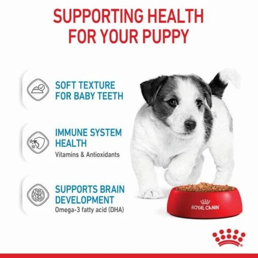 Royal Canin Mini Breed Junior Puppy Pouch 85gx12 -Pet Supply Store