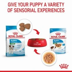 Royal Canin Mini Breed Junior Puppy Pouch 85gx12 -Pet Supply Store 137386 RC PF MINI 85gx12 6