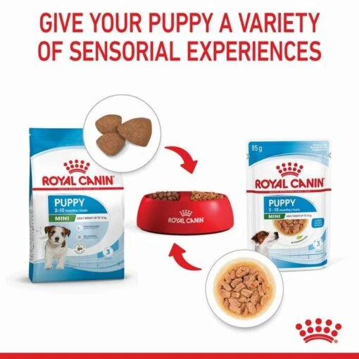 Royal Canin Mini Breed Junior Puppy Pouch 85gx12 -Pet Supply Store