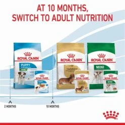 Royal Canin Mini Breed Junior Puppy Pouch 85gx12 -Pet Supply Store 137386 RC PF MINI 85gx12 9