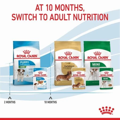 Royal Canin Mini Breed Junior Puppy Pouch 85gx12 -Pet Supply Store