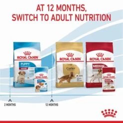 Royal Canin Medium Breed Junior Puppy Pouch 140gx10 -Pet Supply Store 137389 RC PF MEDIUM 140gx10 9