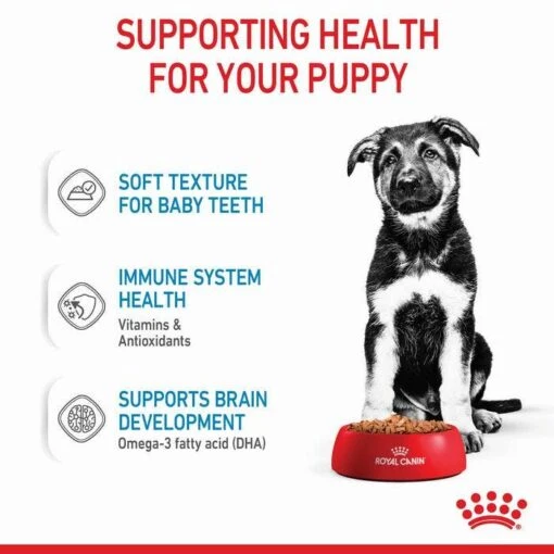 Royal Canin Maxi Breed Junior Puppy Pouch 140gx10 -Pet Supply Store