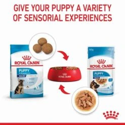 Royal Canin Maxi Breed Junior Puppy Pouch 140gx10 -Pet Supply Store 137392 RC PF MAXI 140gx10 6