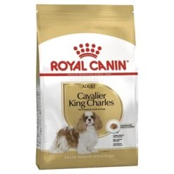 New Release -Pet Supply Store 13793 royal canin cavalier king charles 2 1