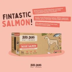 Big Dog Barf Tas Salmon Dog Patties 3kg -Pet Supply Store 138284 BD BARF DF PATTIE TAS SLM 3kg 7