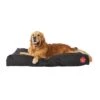 Tontine Pets Xtra Durable Water Resistant Dog Lounger -Pet Supply Store 141710 141711 141712 Tontine Pets Xtra Durable Water Res Dog Lounger 9 3