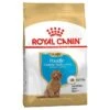 Royal Canin Poodle Puppy Food -Pet Supply Store 141774 14814Royal Canin Poodle Puppy 1 1