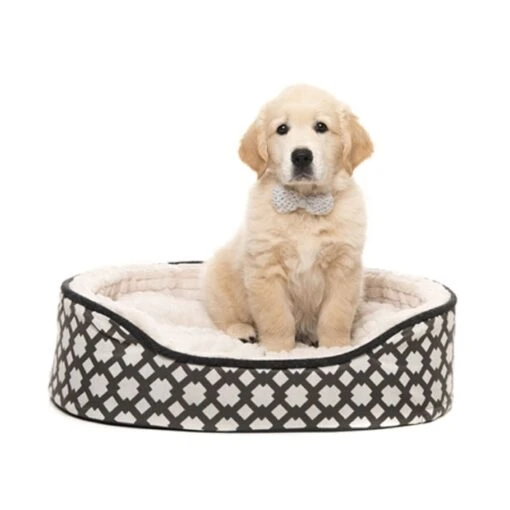 All Day Orthopaedic Oval Dog Basket Cream Grey Small 61x46cm -Pet Supply Store 142311 all day orthopaedic oval dog basket cream 1