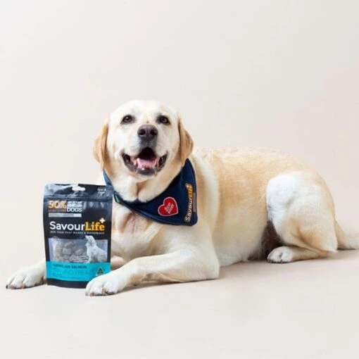 SavourLife Australian Salmon Dog Training Treat 150g -Pet Supply Store 142921 20220413 411A5326