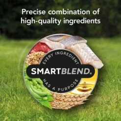 Supercoat Smartblend Senior Fish Adult Dog Food 18kg -Pet Supply Store 143127 SUPERCOAT SMARTBLEND Senior Dog Food With Fish 18kg 0 13