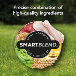 Supercoat Smartblend Chicken Puppy Food 2.6kg -Pet Supply Store 143128 SUPERCOAT SMARTBLEND Puppy Dog Food With Chick 2 6kg 13