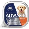 ADVANCE Adult Healthy Weight All Breed Wet Dog Food Turkey With Rice 12x100g Trays -Pet Supply Store 143163 Healthy Weight 1