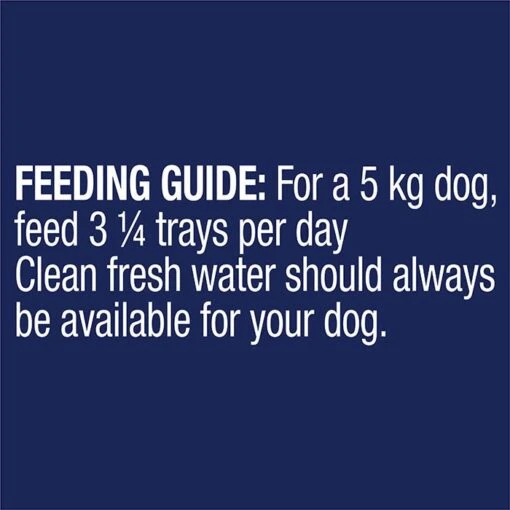 ADVANCE Adult Healthy Weight All Breed Wet Dog Food Turkey With Rice 12x100g Trays -Pet Supply Store 143163 Healthy Weight 4