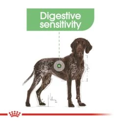 Royal Canin Maxi Digestive Adult Dog Food 12kg -Pet Supply Store 143805 Digestive Maxi 7