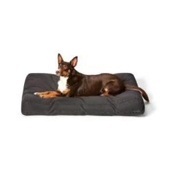 Snooza Ultra Tough Lounger Dog Mattress Black M-70x88cm -Pet Supply Store 144188 tuff lounger black l 3 5