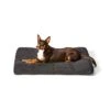 Snooza Ultra Tough Lounger Dog Mattress Black XL -100x116cm -Pet Supply Store 144188 tuff lounger black l 3 5 2