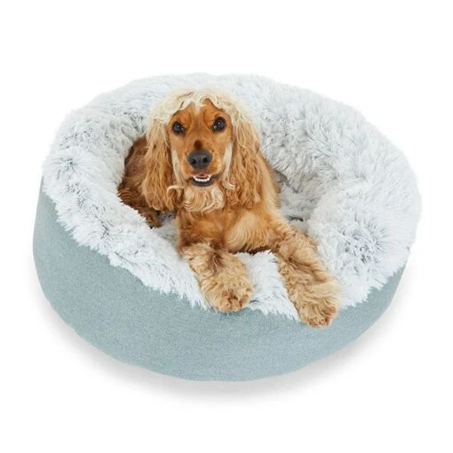 All Day Como Calming Dog Basket Mint M-70x70x25cm -Pet Supply Store 144235 Dog Bedding All Day Como Calming Dog Basket Mint M