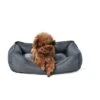 All Day Preston Lounger Dog Basket Grey -Pet Supply Store 144394 Lounge S 40x60cm 4