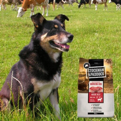 Stockman & Paddock Working Dog Med Breed Adult Dog Food 20kg -Pet Supply Store 144639 S P DF ADT MB WORKING DOG 20kg 7