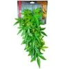 GYPR Terrarium Plant 20 Inch Maple -Pet Supply Store 16f903b426feb5d123c950d5ccf2a64c.image .550x550