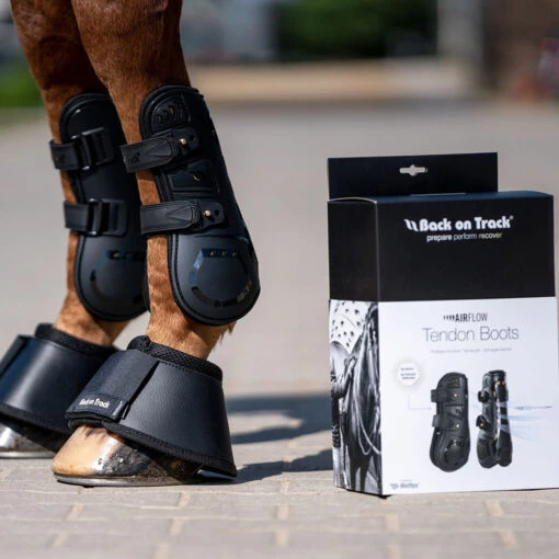 Back On Track Airflow Tendon Boots -Pet Supply Store 2087 Web 5