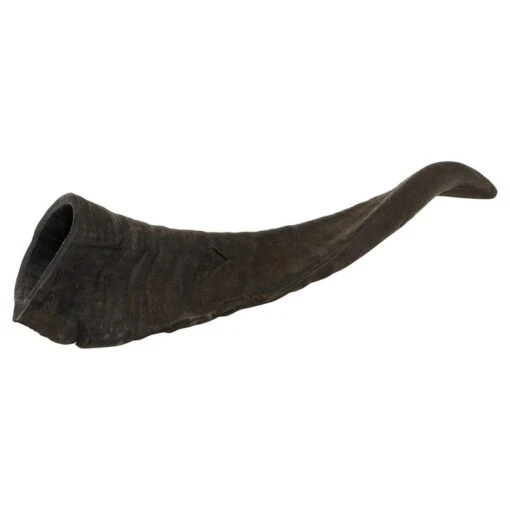 Watch & Grow Dog Treat Goat Horn Large -Pet Supply Store 25313 133043 1 1