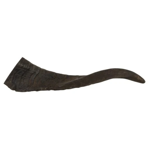 Watch & Grow Dog Treat Goat Horn Large -Pet Supply Store 25313 133043 3 1 1