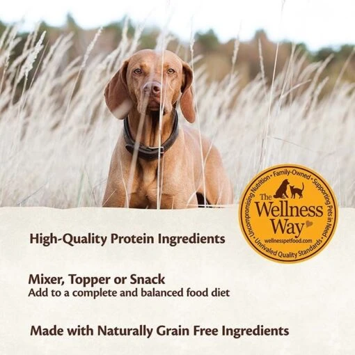 Wellness Core Simply Shreds Chicken Beef & Carrot Dog Pouch 79g X12 -Pet Supply Store 26514 136051 cdsimplyshreds chickenbeef 03 1 1