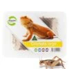 Pisces Live Crickets Bulk Large Approx 500 -Pet Supply Store 2811f7c2b72cc052d5e7d46d704f7b51.image .225x271