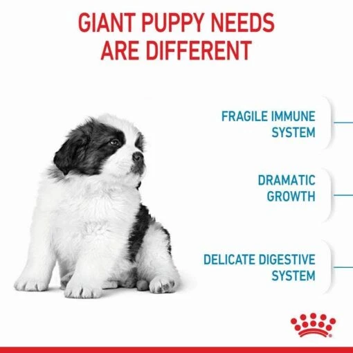 Royal Canin Giant Breed Puppy Dog Food 15kg -Pet Supply Store 29364 RC PF GNT 15kg 3