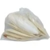 STF Cuttlebone Small 10Pack -Pet Supply Store 30098e0d9af0c732d7d82a0202a3f238.image .225x271