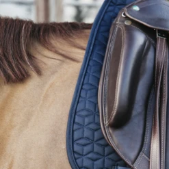 KENTUCKY HORSEWARE - CLASSIC SADDLE PAD -Pet Supply Store 485a0422 564c22e810080218547dfa1c1093aa08 article photobook l