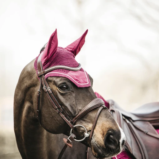 Kentucky Fly Veil Wellington Velvet -Pet Supply Store 485a8719 564c22e810080218547dfa1c1093aa08 article photobook l