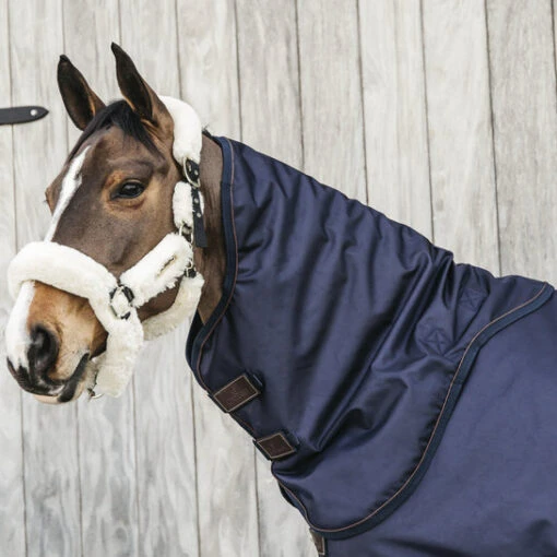 KENTUCKY HORSEWARE - NECK ALL WEATHER WATERPROOF PRO 0G -Pet Supply Store 485a9473 e8502ded370e565d04389cf2c54c4715 article photobook crop