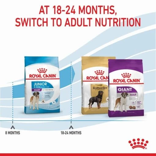 Royal Canin Giant Junior Dog Food - 15kg -Pet Supply Store 50631 RC PF GNT 8 MTH 15kg 6