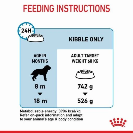 Royal Canin Giant Junior Dog Food - 15kg -Pet Supply Store 50631 RC PF GNT 8 MTH 15kg 8