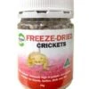 Pisces Freeze Dried Crickets 35g -Pet Supply Store 54a3f2516977b047ceca50905ea73eda.image .225x271